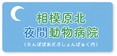 模原北夜間動物病院